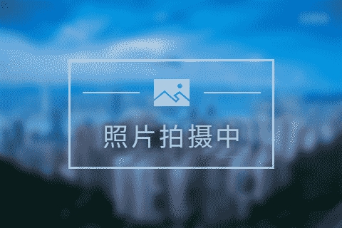 鹏辉云玥九序